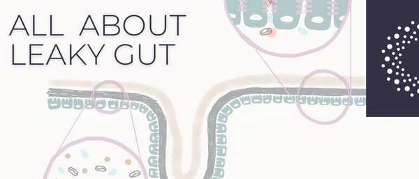 What Is Intestinal Permeability and Leaky Gut and How Can We Heal It?