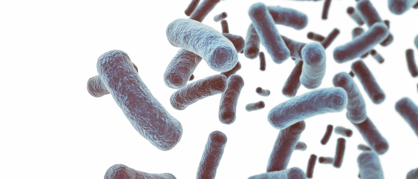 Why We Need to Stop Fearing Microbes