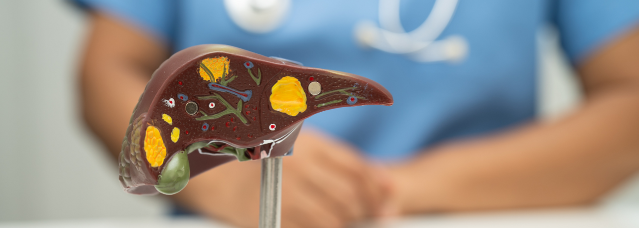 Gallbladder Health 101: What It Does and How to Keep It Working Well Gallbladder Health 101: What It Does and How to Keep It Working Well