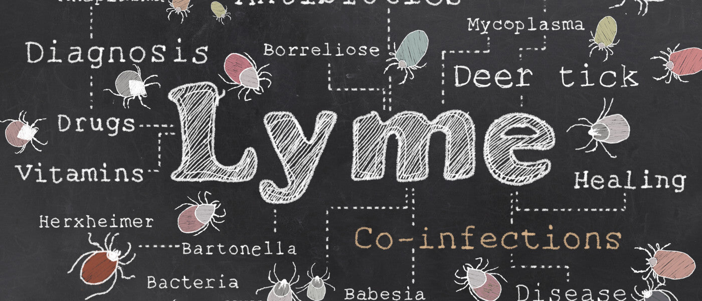 Lyme Disease Causes, Symptoms, and Prevention | BodyBio Lyme Disease Causes, Symptoms, and Prevention | BodyBio