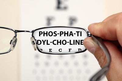 Blog of Phosphatidylcholine and Vision: Will The Real PC Please Stand Up? which have image Phosphatidylcholine and Vision: Will The Real PC Please Stand Up?