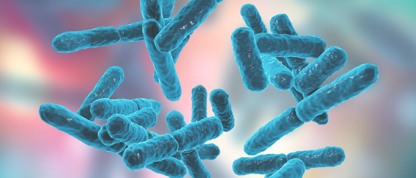can i take glutathione and probiotics at the same time Best to Glutathione: Morning or Night? Best Time to Take Glutathione