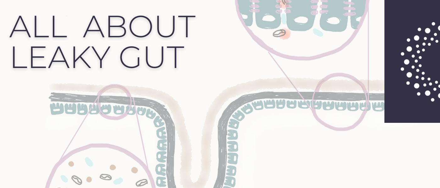 What Is Intestinal Permeability and Leaky Gut and How Can We Heal It?