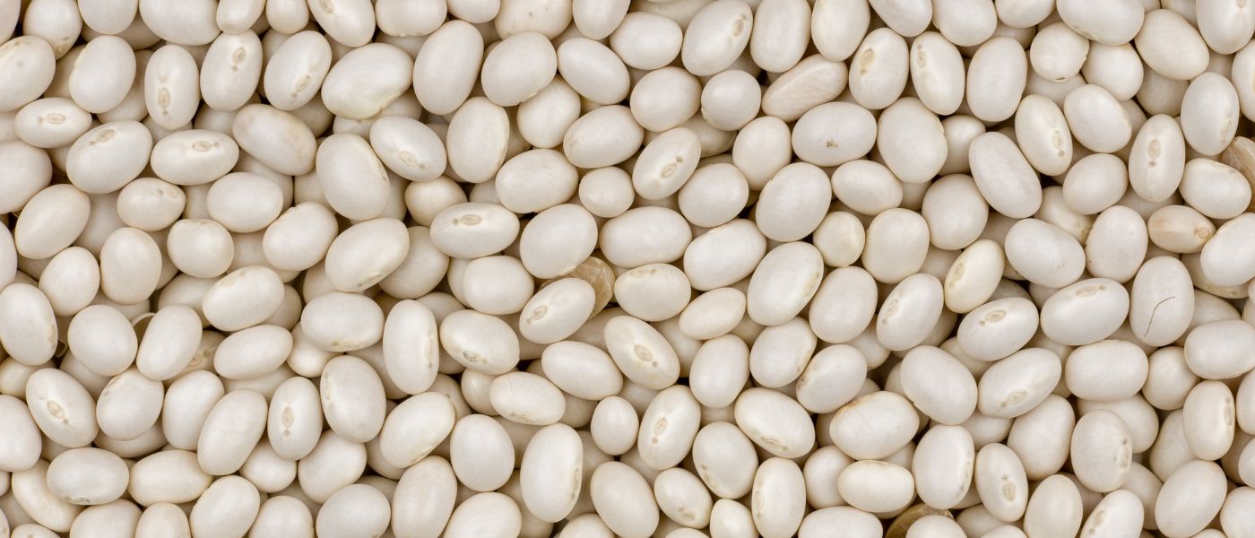 white beans