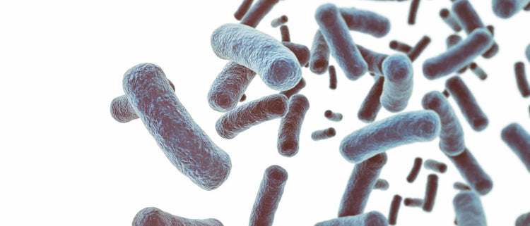 Blog of Why We Need to Stop Fearing Microbes which have image blue microbes floating on a white background