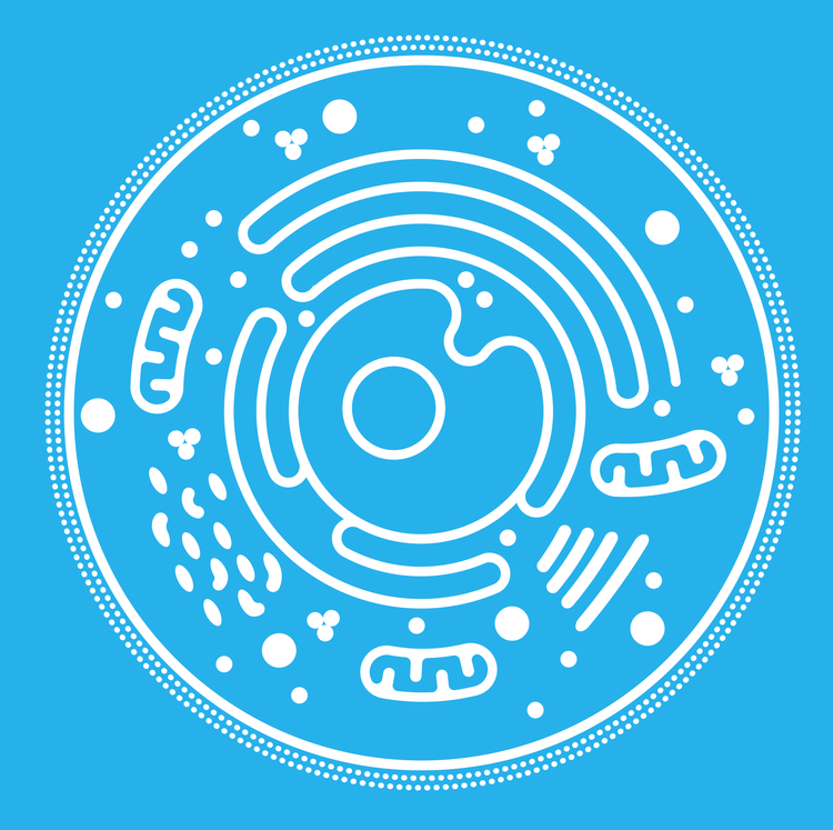 Blog of Liposomes and Bioavailability: The Advantages of Liposomal Supplements which have image Liposomes and Bioavailability: The Advantages of Liposomal Supplements