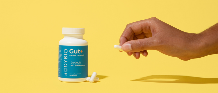 Blog of Introducing Gut+: The Powerful Prebiotic + Postbiotic Combo for Total Gut Health which have image Picture of Gut+ BodyBio supplement