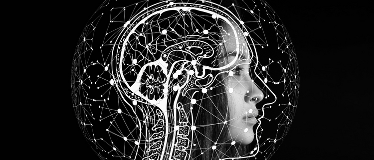 Blog of Neuroplasticity: How to Rewire Your Brain for Better Physical and Mental Health which have image Neuroplasticity: How to Rewire Your Brain for Better Physical and Mental Health
