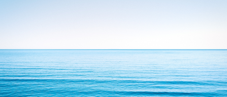 Blog of How to Calm Your Nervous System: Regulation Benefits, 11 Techniques, & More which have image calm ocean