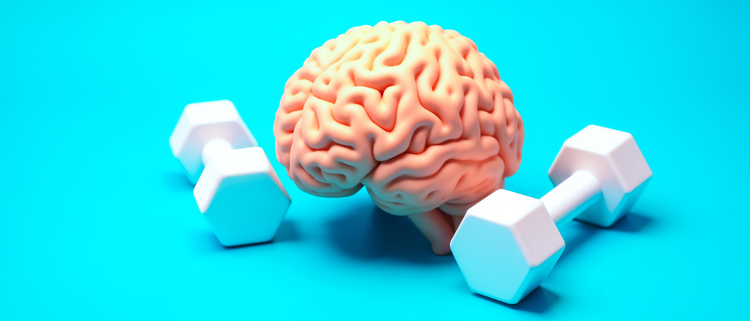 Blog of Is the Brain a Muscle? (How to Use It to Stay Sharp) which have image A 3D-rendered image of a human brain placed between two white dumbbells on a bright blue background