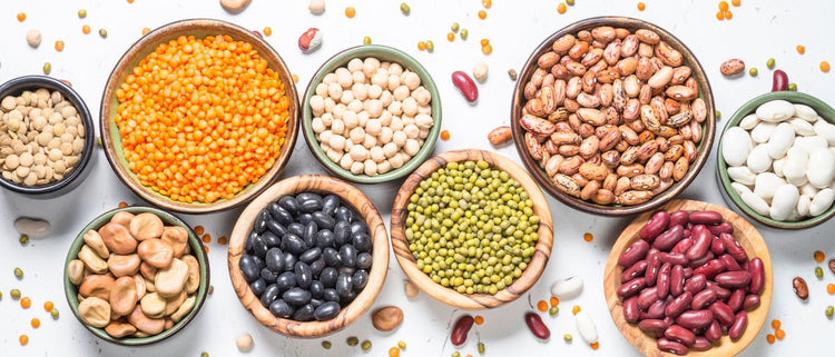 Blog of What Are Lectins? Debunking the Internet’s Favorite Anti-Nutrient which have image legumes