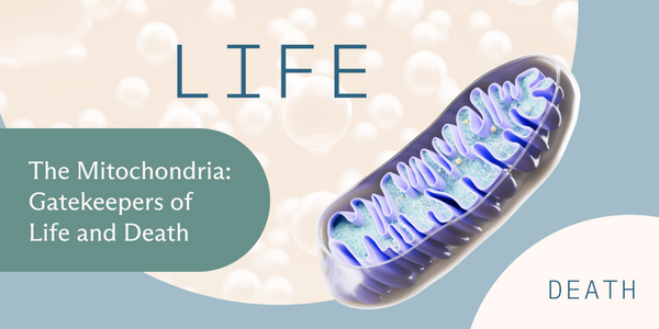 Mitochondria- Gatekeepers of Life and Death