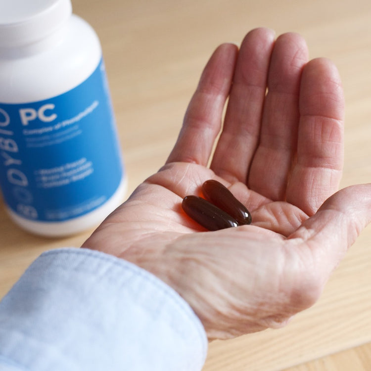 Blog of Could Phosphatidylcholine (PC) be the key to a sharp memory? which have image Could Phosphatidylcholine (PC) be the key to a sharp memory?