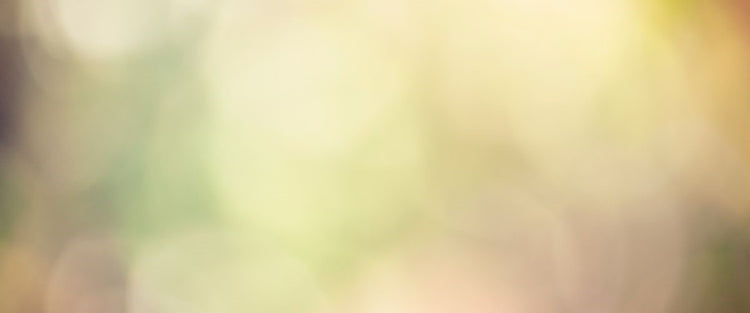 Blog of Should You Use TUDCA for Gallstones? which have image blurred lights background