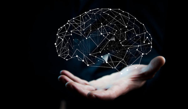 hand holding a computerized image of a brain