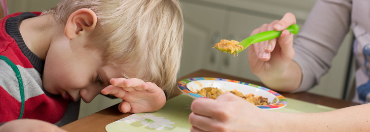 Blog of Why Cellular Health Matters for Picky Eating in Neurodivergent Children which have image Why Cellular Health Matters for Picky Eating in Neurodivergent Children