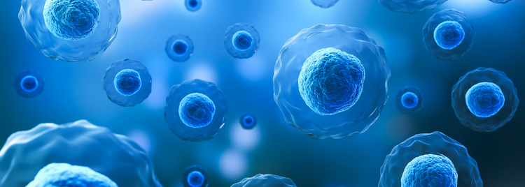 Blog of What Is Terrain Theory? A Smarter Way to Think About Detoxification and Whole Body Resilience which have image What Is Terrain Theory? A Smarter Way to Think About Detoxification and Whole Body Resilience