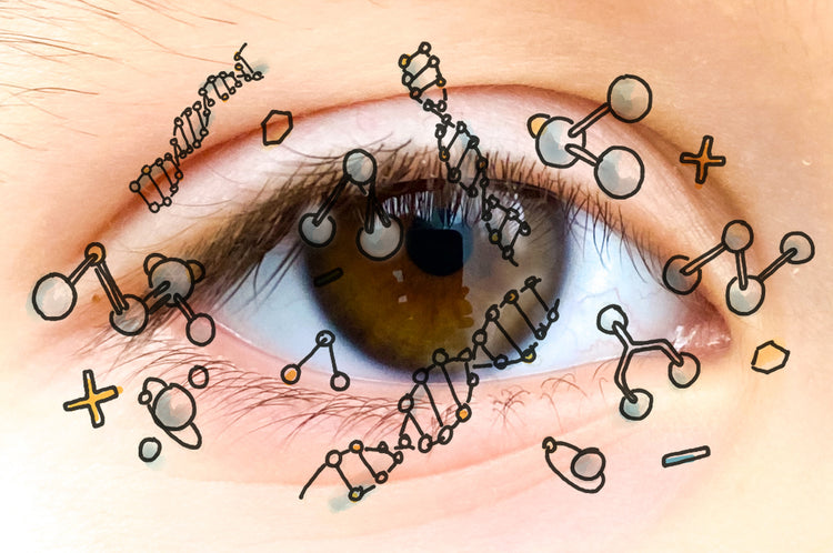 Blog of Nootropics: Citicoline which have image Nootropics: Citicoline