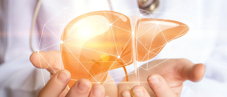 Blog of Fatty Liver: Causes, Symptoms, Diet, and More which have image fatty liver