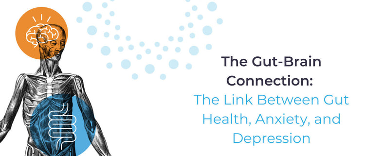 Blog of The Gut-Brain Connection: The Link Between Gut Health, Anxiety, and Depression which have image gut-brain connection