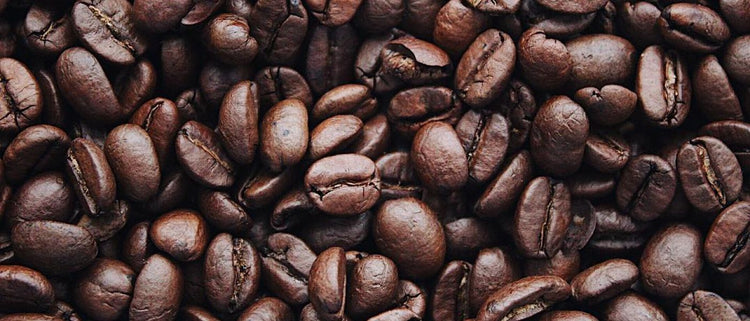 Blog of Is Coffee Bad for Your Gut? Debunking Myths & Eliminating Your Fears About Coffee which have image coffee beans