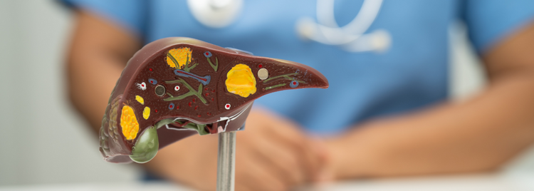 Blog of Gallbladder Health 101: What It Does and How to Keep It Working Well which have image Gallbladder Health 101: What It Does and How to Keep It Working Well