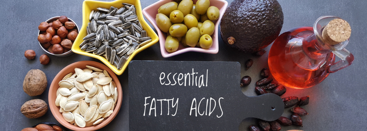 Blog of Essential Fatty Acids, Seed Oils, and PPAR-Alpha: Flipping the Genetic Switch for Fat Burning which have image Essential Fatty Acids, Seed Oils, and PPAR-Alpha: Flipping the Genetic Switch for Fat Burning