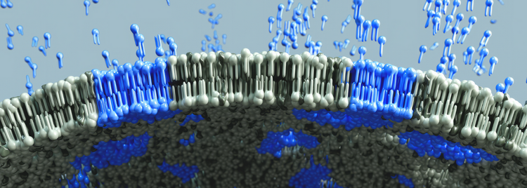 Blog of The Missing Link in Longevity: Repair the Cell First, Everything Else Follows which have image The Missing Link in Longevity: Repair the Cell First, Everything Else Follows