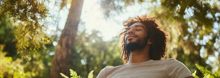 Blog of What are Systemic Enzymes and Do You Need Them for Optimal Health? which have image What are Systemic Enzymes and Do You Need Them for Optimal Health?