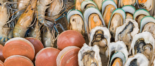 Blog of Manganese Benefits: Blood Sugar Regulation, Gut Health, Immunity, & Beyond which have image shellfish