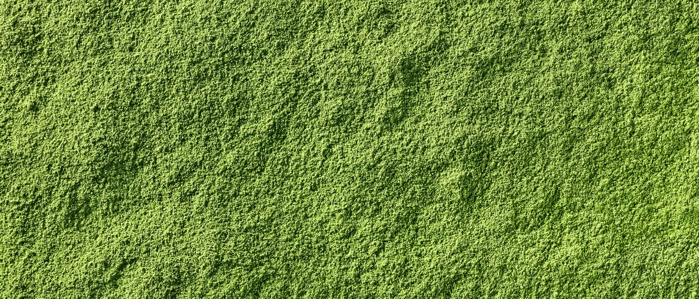 matcha powder