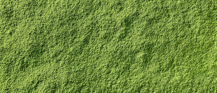 Blog of Healthy Coffee Alternatives: When to Quit Coffee & What to Drink Instead which have image matcha powder