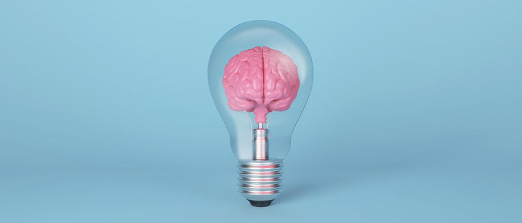 Blog of What are Nootropics? A Comprehensive Guide to Cognitive Enhancers which have image brain in a lightbulb