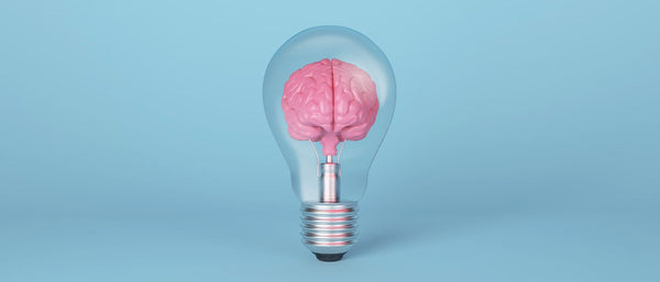 brain in a lightbulb