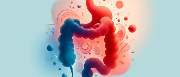 illustration of the gut