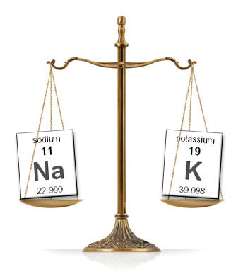 The Balance Between Sodium and Potassium | BodyBio