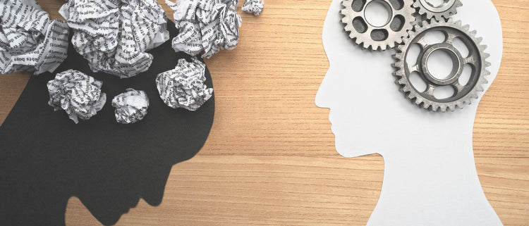 Blog of Fight or Flight: Your Stress Response and Managing the Stress Hormones which have image stress response