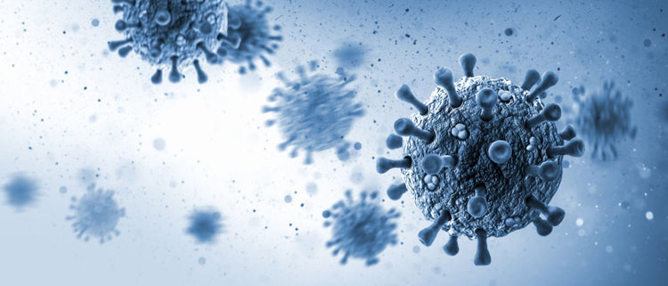 Blog of 10 Best Supplements for a Cold: Natural Remedies to Support the Immune System which have image virus cells