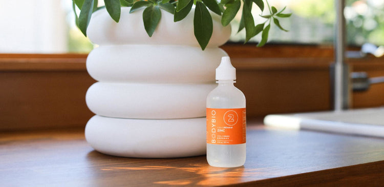 Blog of What Does Zinc Do for the Body? which have image bottle of zinc supplements