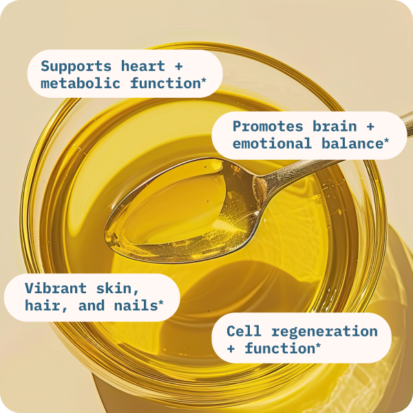 A spoon in a glass bowl of yellow oil is featured, with text bubbles highlighting potential benefits: heart and metabolic function, brain and emotional balance, vibrant skin, hair, and nails, and cell regeneration and function—demonstrating the power of essential fatty acids in Balance Oil (Omega 6 + 3), a healthy fat supplement.