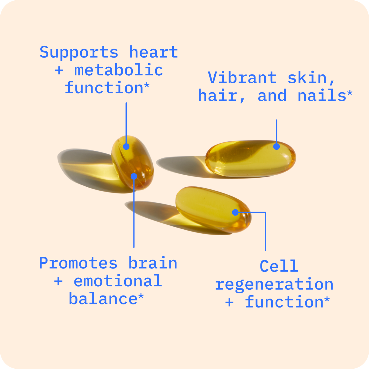 Foundational image 3