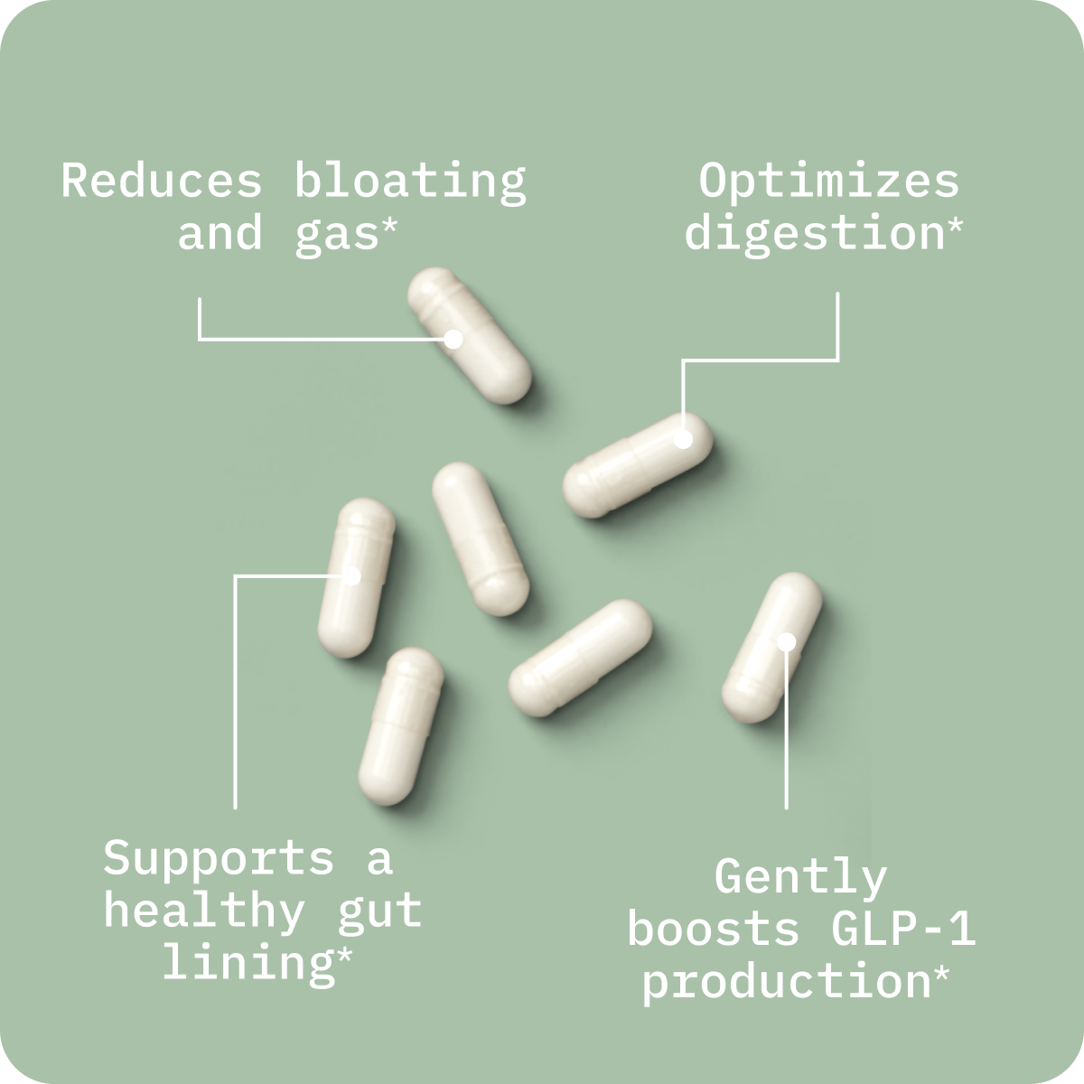 Butyrate: Gut Health Supplement image 2