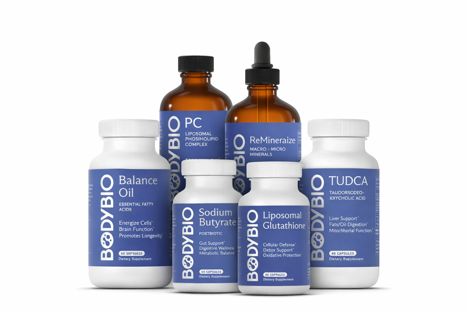 Braincode Bundle