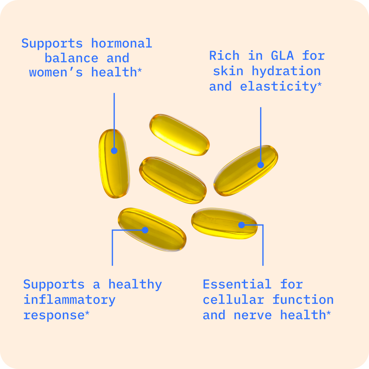 Evening Primrose Oil