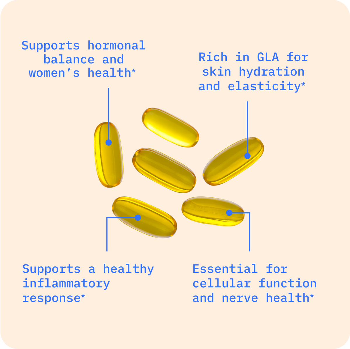 Evening Primrose Oil image 1