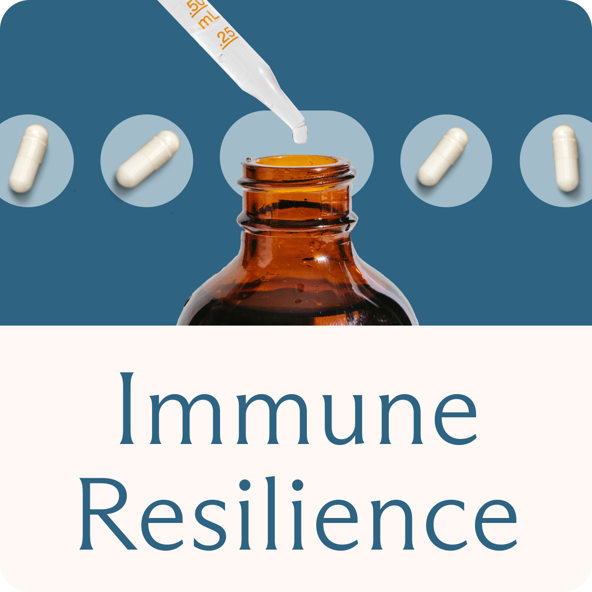 Immune Resilience Bundle image 3