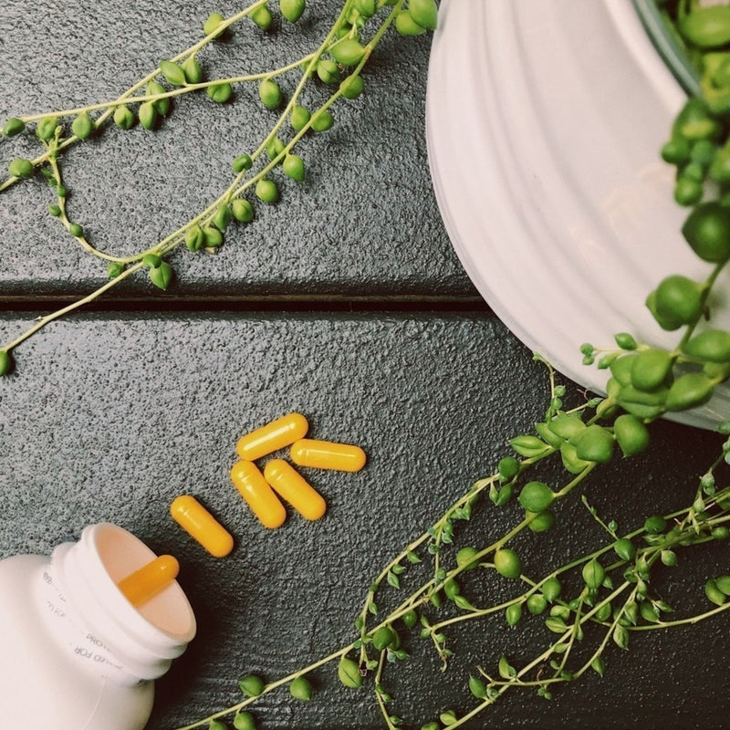 A lifestyle image showcasing Vitamin B+ capsules amidst greenery, conveying a natural and vibrant feel.