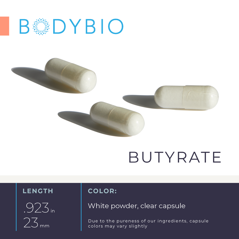 Butyrate: Gut Health Supplement