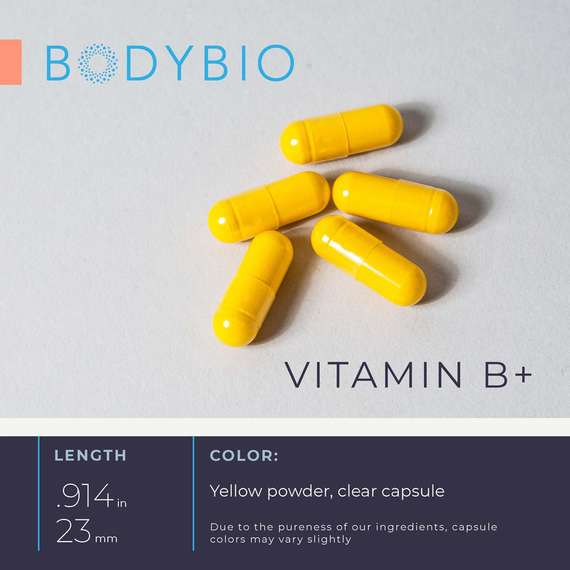 Close-up of the bright yellow Vitamin B+ capsules. Length: 0.914 inches (23 mm). Color: Yellow powder in a clear capsule. Capsule colors may vary due to ingredient purity.